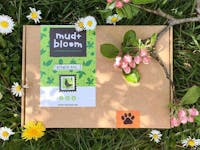 Mud & Bloom Box