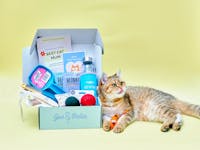 Gus & Bella – Cat Subscription Box